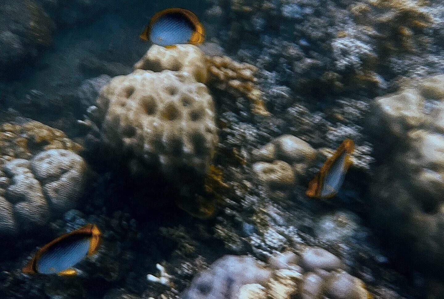 Snorkelling for the First Time in Amed, East Bali